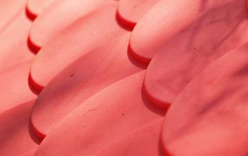 Milltown Of Edinvillie plastic roof costs