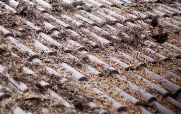 Milltown Of Edinvillie roof cleaning companies