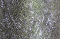 Milltown Of Edinvillie fibreglass roof work